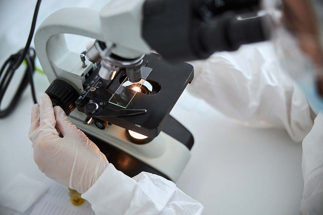 Cropped photo of a virologist viewing a new vaccine sample mounted on the glass slide